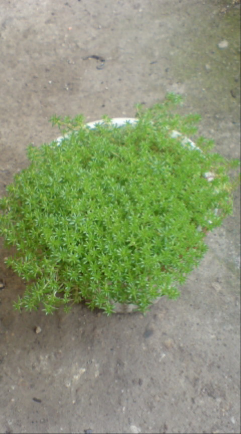20100428140549.jpg