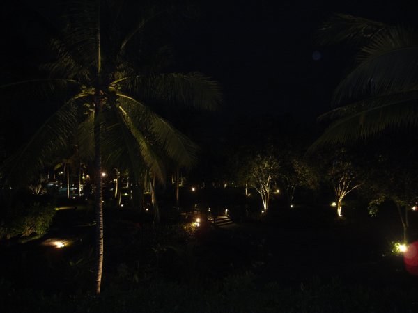 夜
