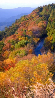 十津川村玉置山紅葉展望台近く