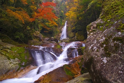 十津川村笹の滝の紅葉