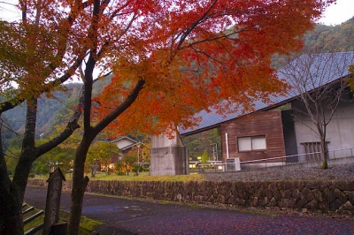 昴の郷(野猿周辺)紅葉