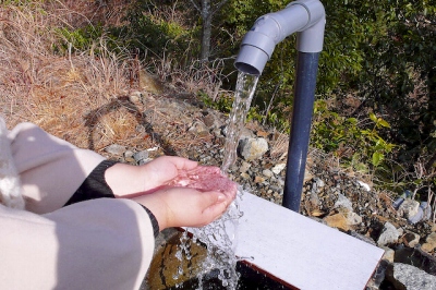 果無の水
