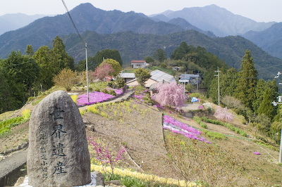 春の果無集落