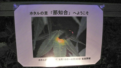 ホタルの里那知合
