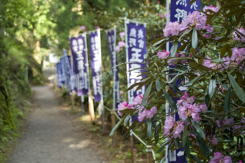 玉置神社参道