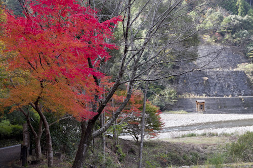 昴の郷紅葉