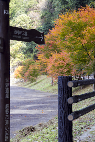 昴の郷紅葉3