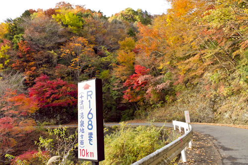 玉置山の紅葉5
