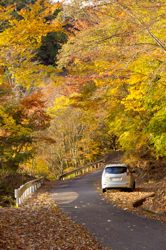 玉置山の紅葉7