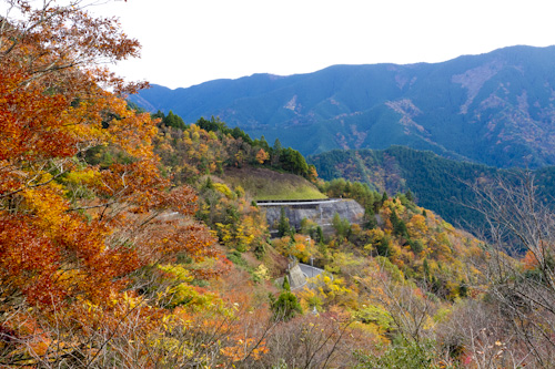 玉置山の紅葉7