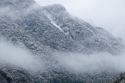 十津川雪景色