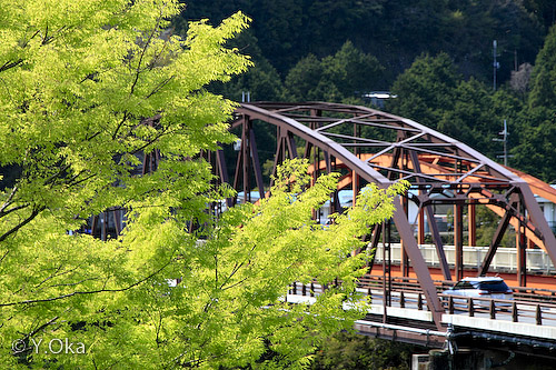 新緑と庵の前橋