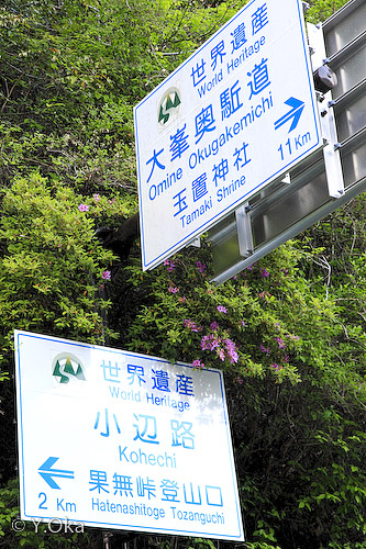 国道168号線 猿飼橋