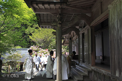 出雲大社教例祭