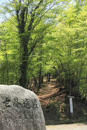 世界遺産石碑新緑