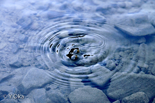 源泉近くの上湯川