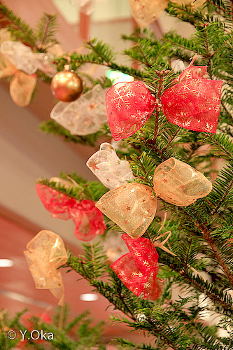 クリスマスツリー