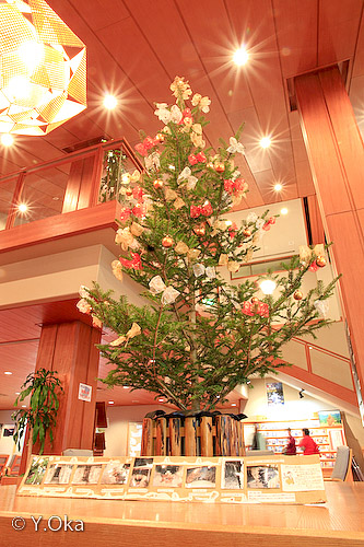 クリスマスツリー
