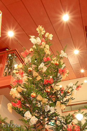 クリスマスツリー