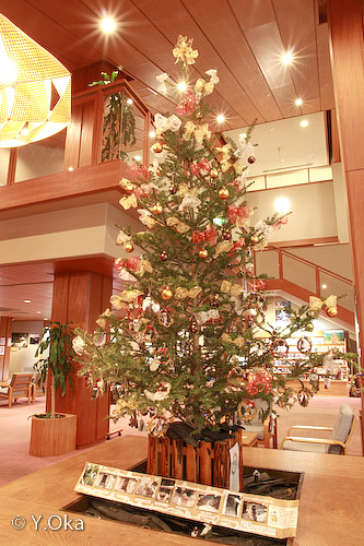 クリスマスツリー