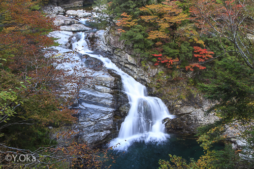 紅葉の大泰の滝