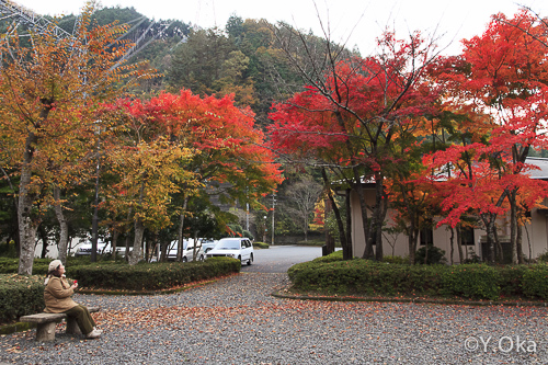 旭エレハウス紅葉