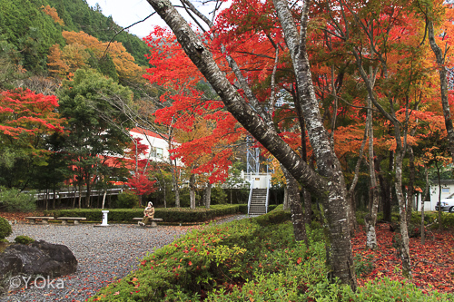 旭エレハウス紅葉