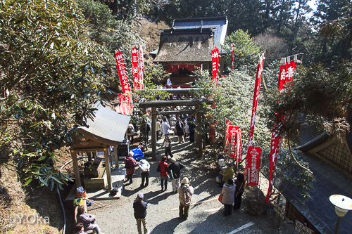 玉置神社初午祭