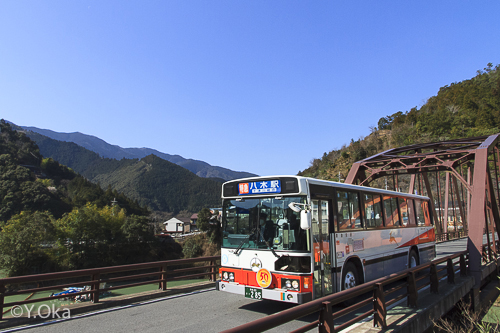 日本一長い路線バス