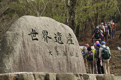 十津川の語り部と歩く奥駈道
