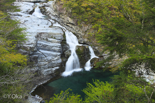 大泰の滝