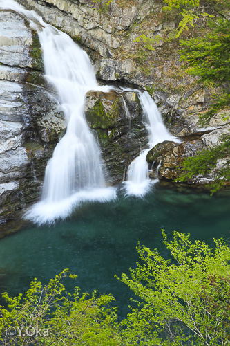 大泰の滝