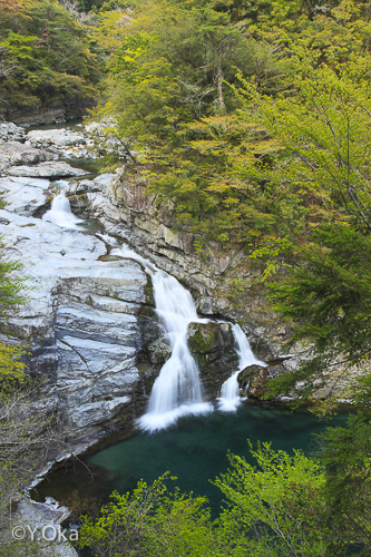 大泰の滝