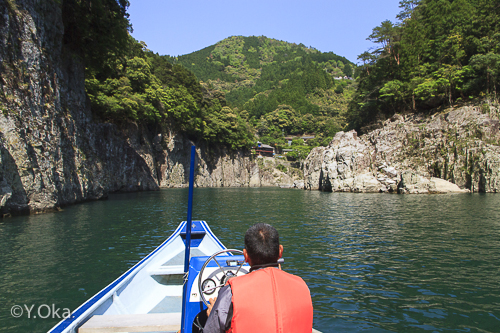 瀞峡かわせみ