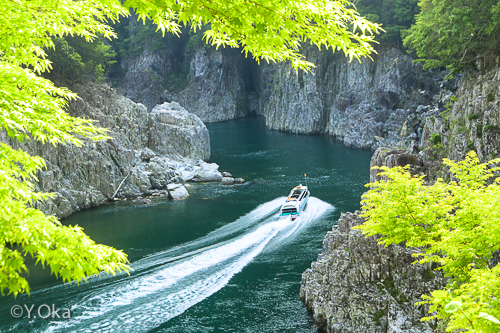 新緑の瀞峡
