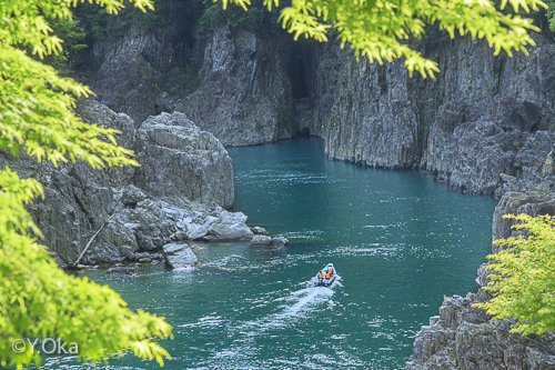 瀞峡かわせみ川舟下り