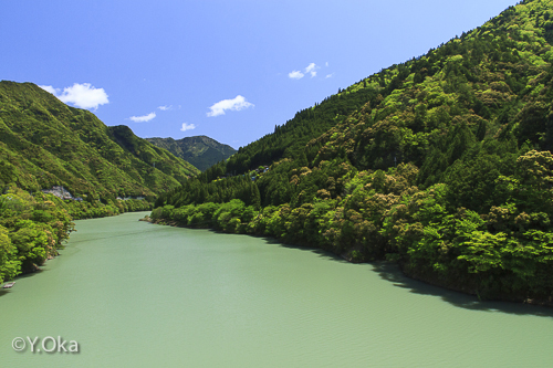 新緑の十津川温泉