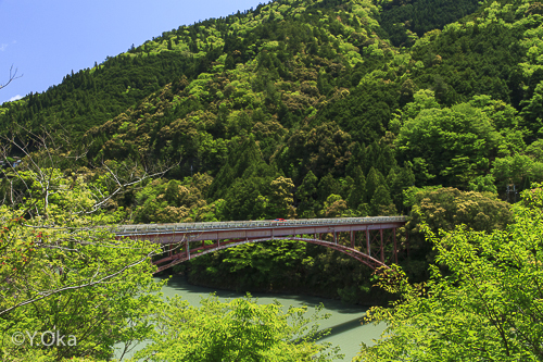 新緑の十津川温泉