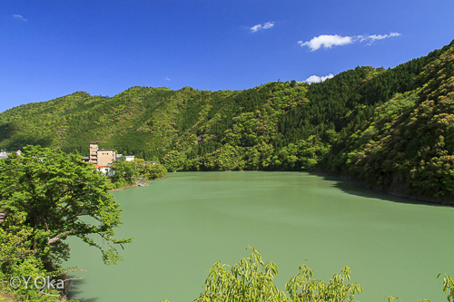 新緑の十津川温泉