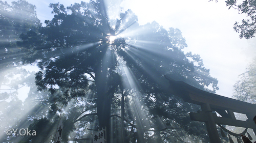 玉置神社例大祭