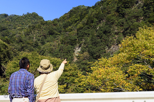 大野出合のヴィーナス