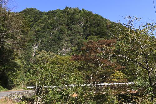 大野出合のヴィーナス
