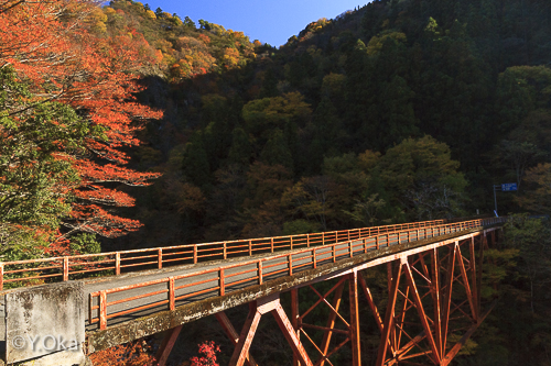 白谷橋の紅葉