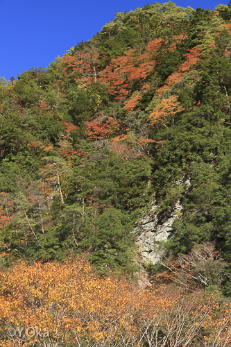 紅葉と大野出合ヴィーナス