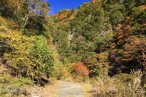 大野出合のヴィーナス
