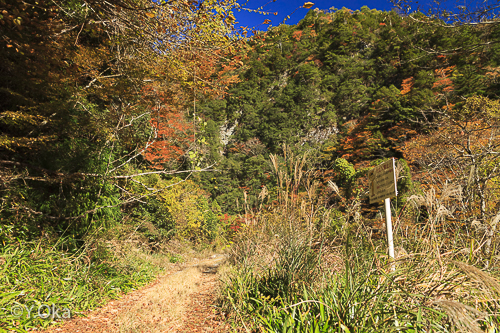大野出合瀬野の滝