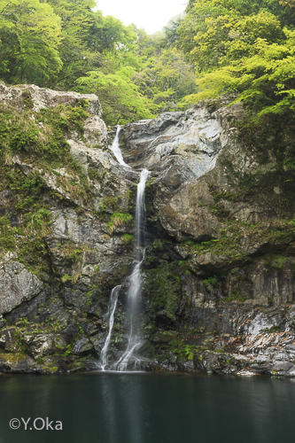 瀬野の滝
