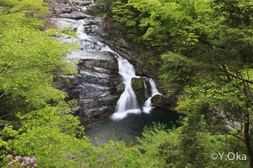 大泰の滝