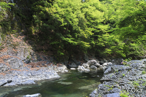 瀬野の滝マイナスイオンの滝