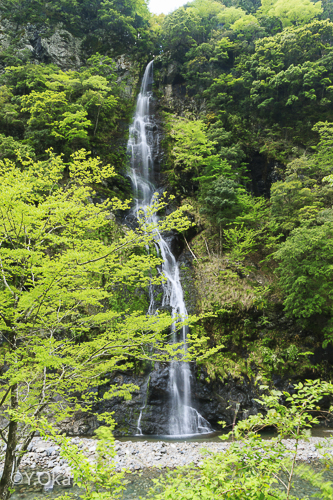 不動滝